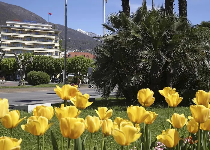 Отель Rondinella